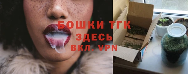 эйфоретик Арсеньев