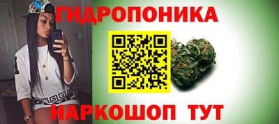 мяу мяу мука Гатчина