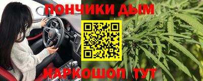 мяу мяу мука Гатчина