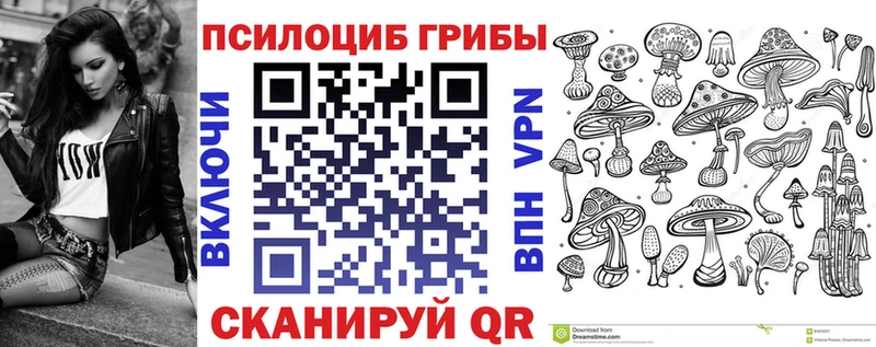 Псилоцибиновые грибы мицелий блэк спрут рабочий сайт Куйбышев