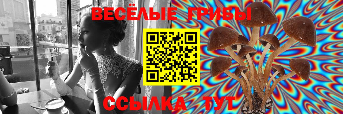Псилоцибиновые грибы прущие грибы  Вход с VPN  Куйбышев 