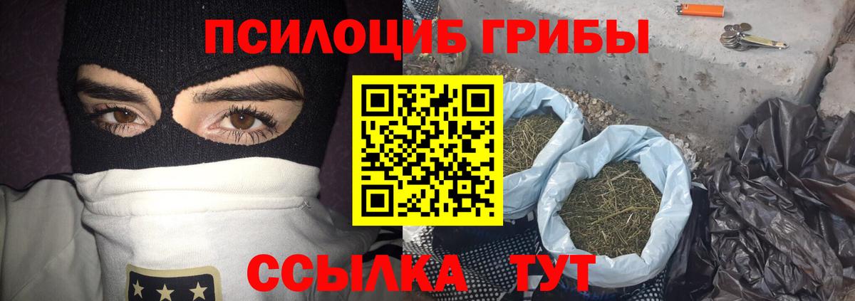 Галлюциногенные грибы Magic Shrooms Куйбышев